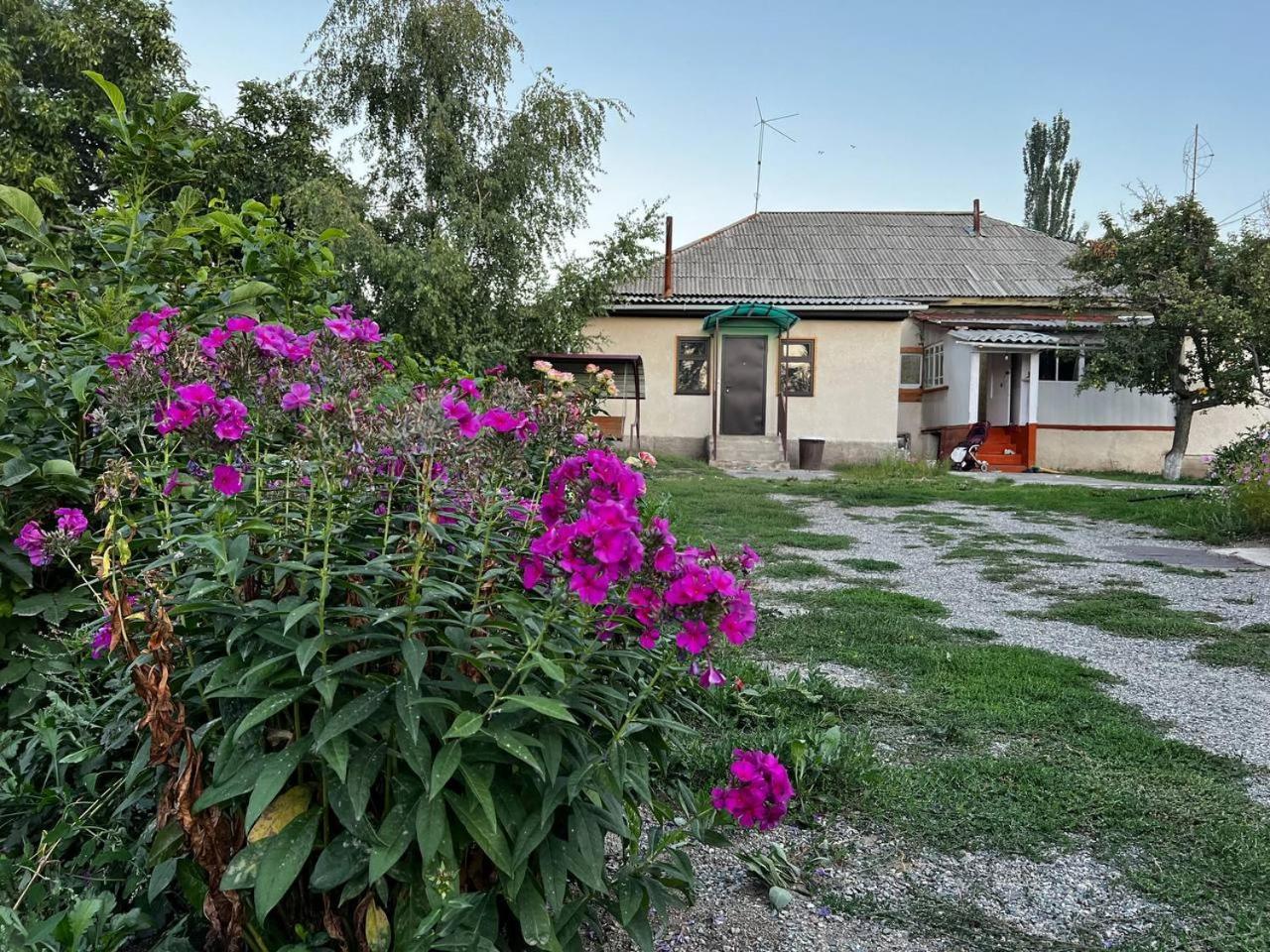 Hotel Bulak Karakol Exteriér fotografie